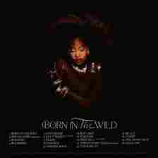 Tems Born in the Wild Album Tracklist