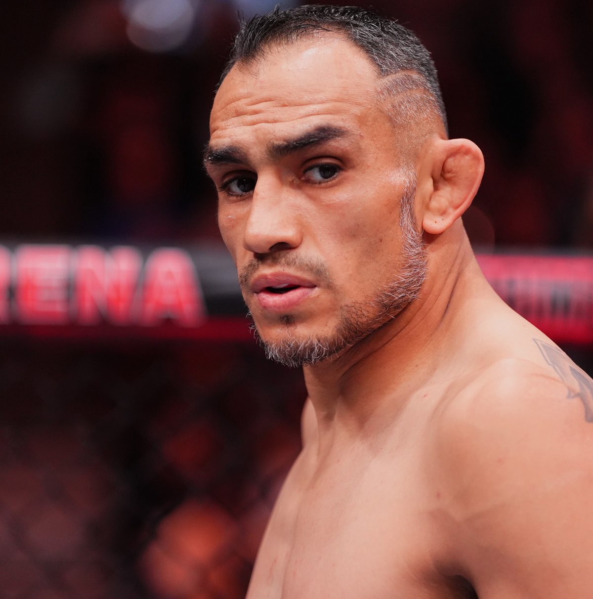 Free Agent Ferguson Teases Fight With Dillon Danis