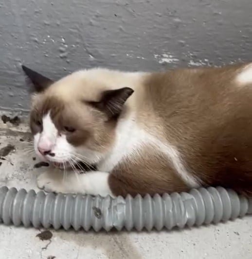 2365bba1283acf9a4b32010fb9976a91