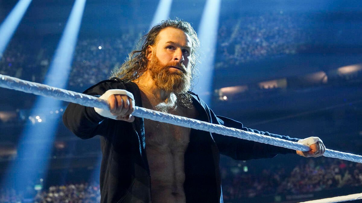 sami zayn