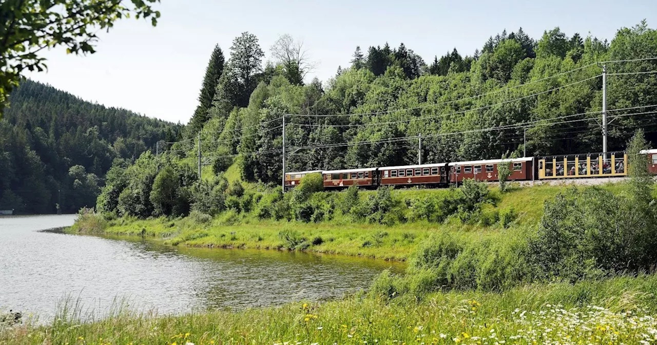 Mariazellerbahn jubelt über Ansturm nach ORF-Sieg