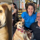 Dog lost for 40 days after terror attack on Israel now comforts hostage family members