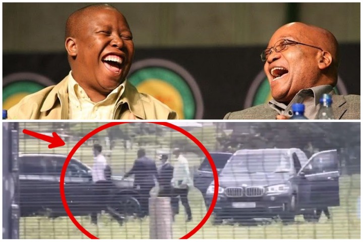 The Real Reason For Julius Malema And Jacob Zuma's Nkandla ...