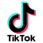 TikTok sues US government to combat forced ban