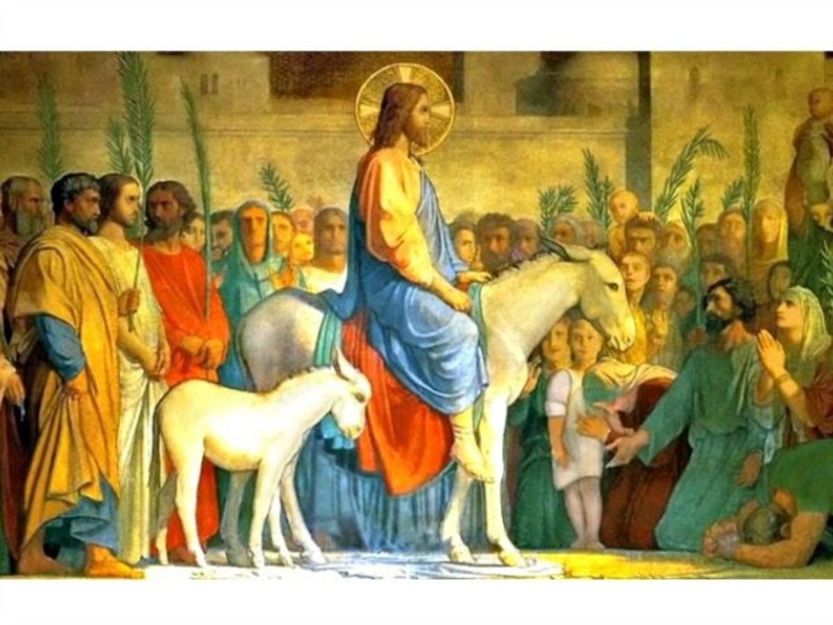Jesus rode into Jerusalem on a new colt on Palm Sunday.