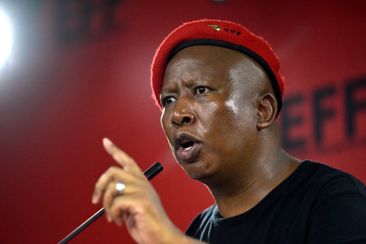 Malema issues ultimatum in school dreadlocks row | The Citizen