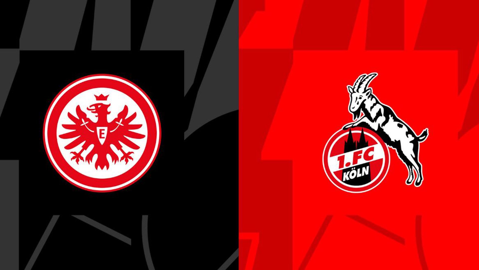 Eintracht frankfurt fc koln bundesliga spieltag