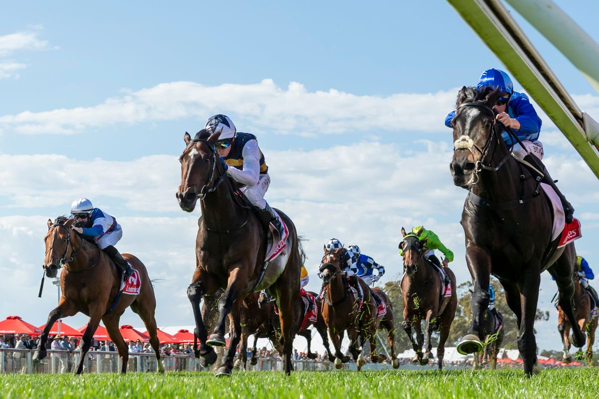 Point Of Law (right) defeats the Joseph O'Brien pair Small Fry (centre) and Omni Man in the Geelong Cup