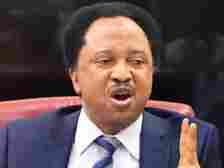 'I Hope They Have Read The Names' - Shehu Sani Replies Police Over #EndSARS Protesters Still In Custody