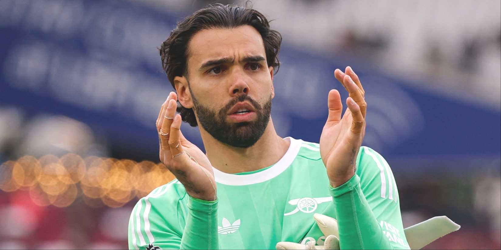 David Raya