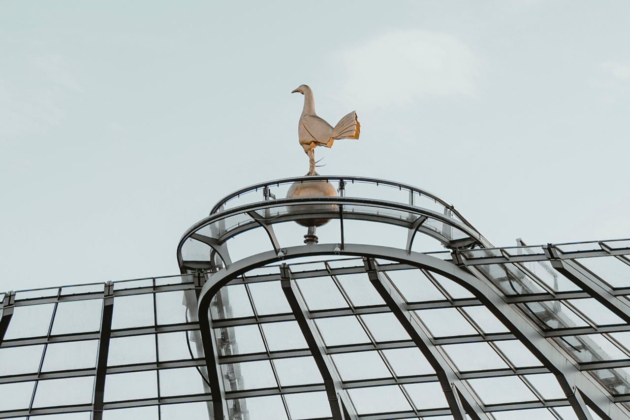 Cockerel Tottenham Generic