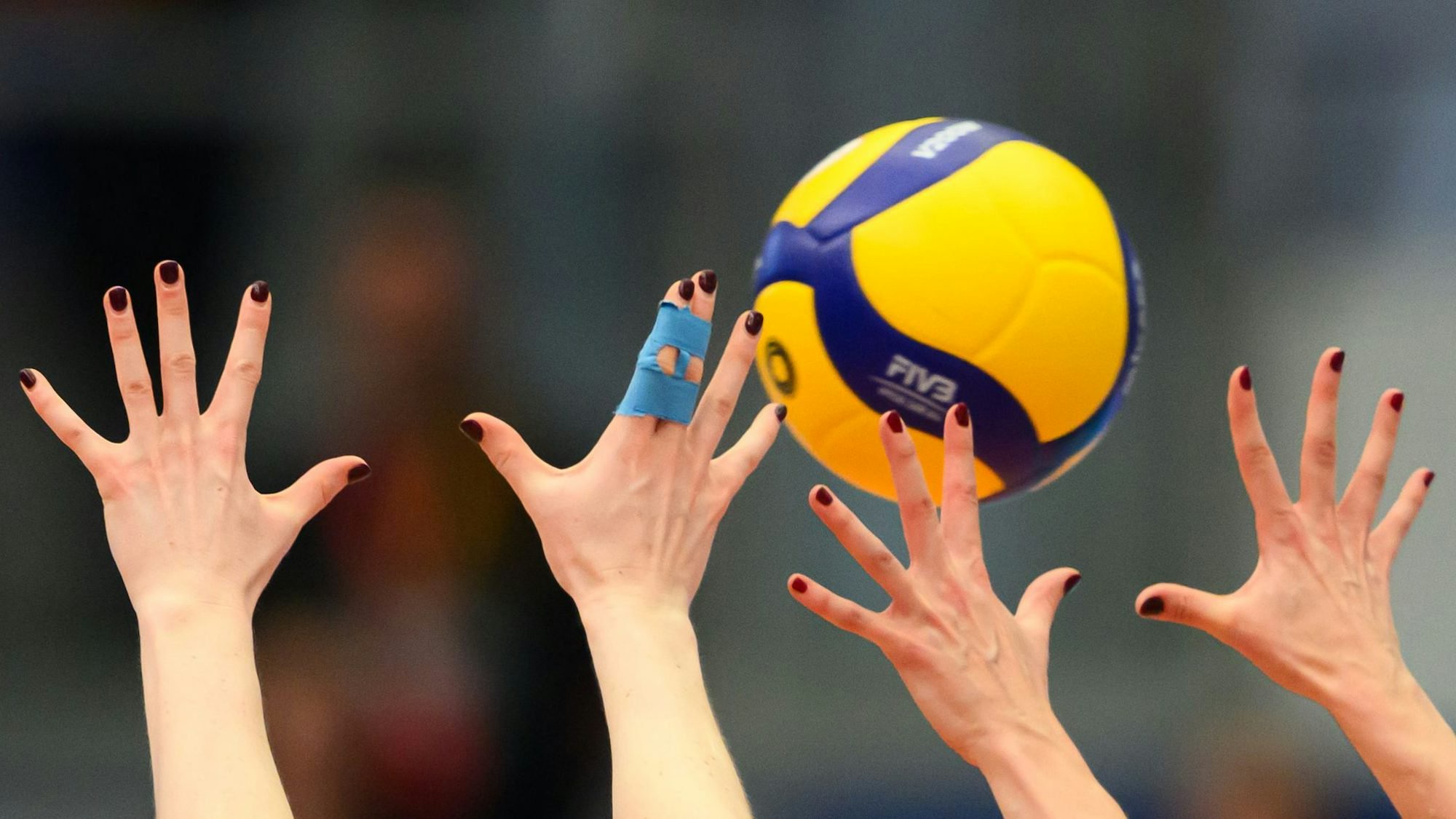 Dresdner Volleyballerinnen feiern ersten Saisonsieg. (Symbolbild)