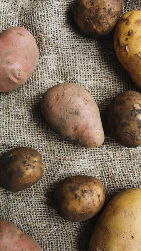 Culinary Uses
