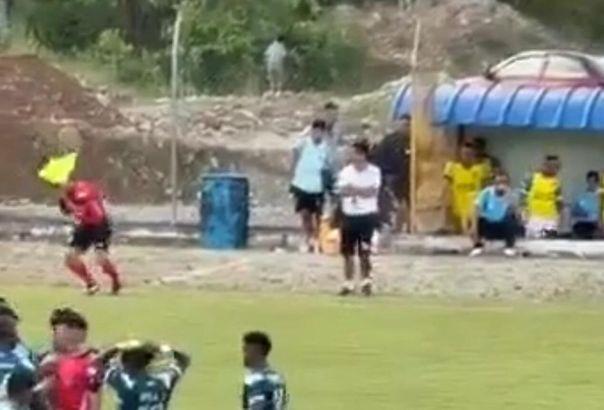 He struck the linesman with the second stone