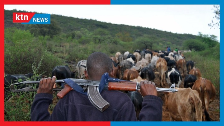 Tension remains high in Ol-Moran area in Laikipia after a series of bandit attacks & cattle rustling - YouTube
