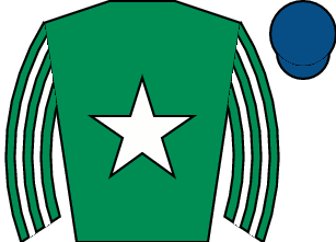 Horse silk