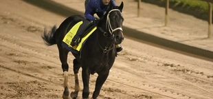 Encino out of Kentucky Derby, Epic Ride joins the 20-horse field