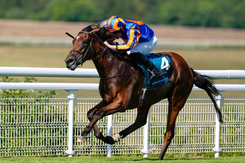 Diamond Necklace: runs in the Turf
