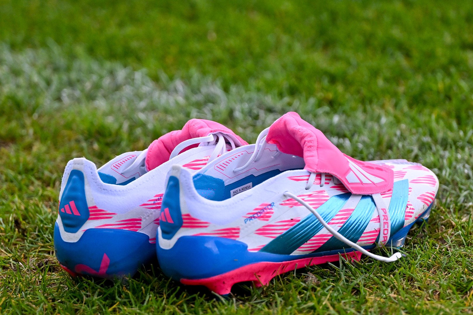 Fußballschuhe auf Rasen