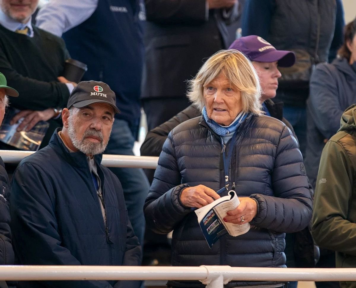 Jessica Harrington: Cheltenham Festival and Classic-winning trainer