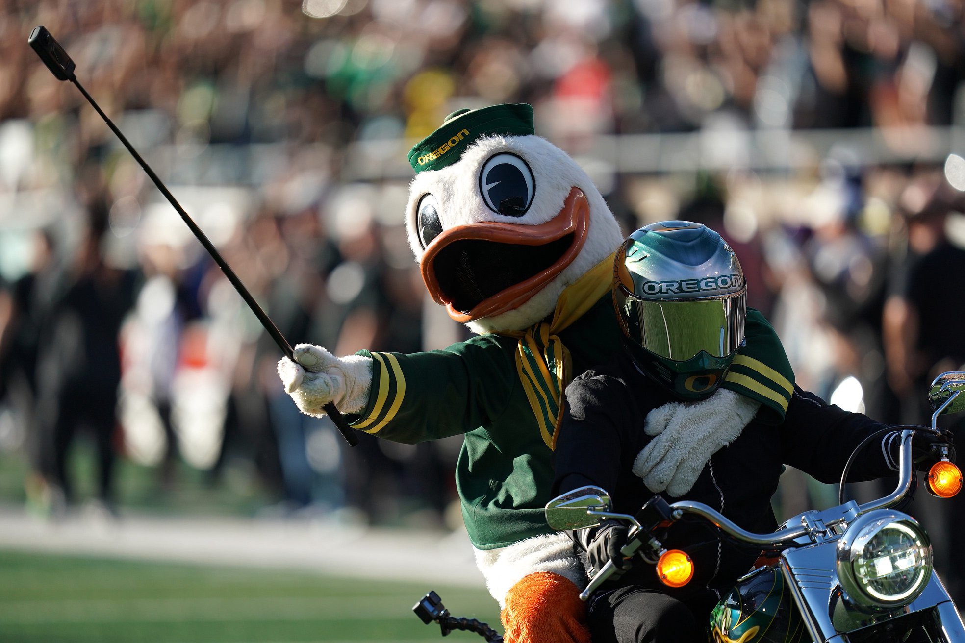 EUGENE, OREGON - OCTOBER 12: The Oregon Ducks mascot rides on a motorcycle prior to a game against the Ohio State Buckeyes at Autzen Stadium on October 12, 2024 in Eugene, Oregon. (Photo by Ali Gradischer/Getty Images)