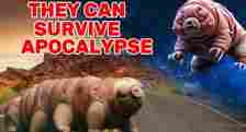 Some animals can survive an apocalypse [YouTube]