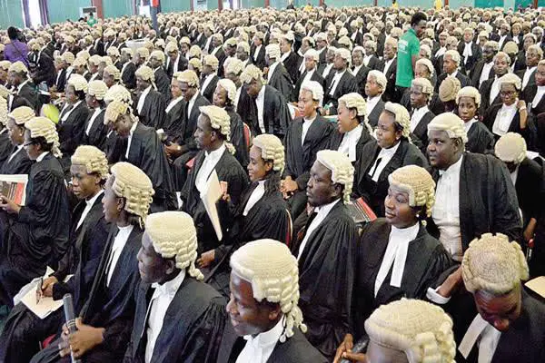 Reasons People Assume Lawyers Buried Feet Deep Faces Turned Upside Down