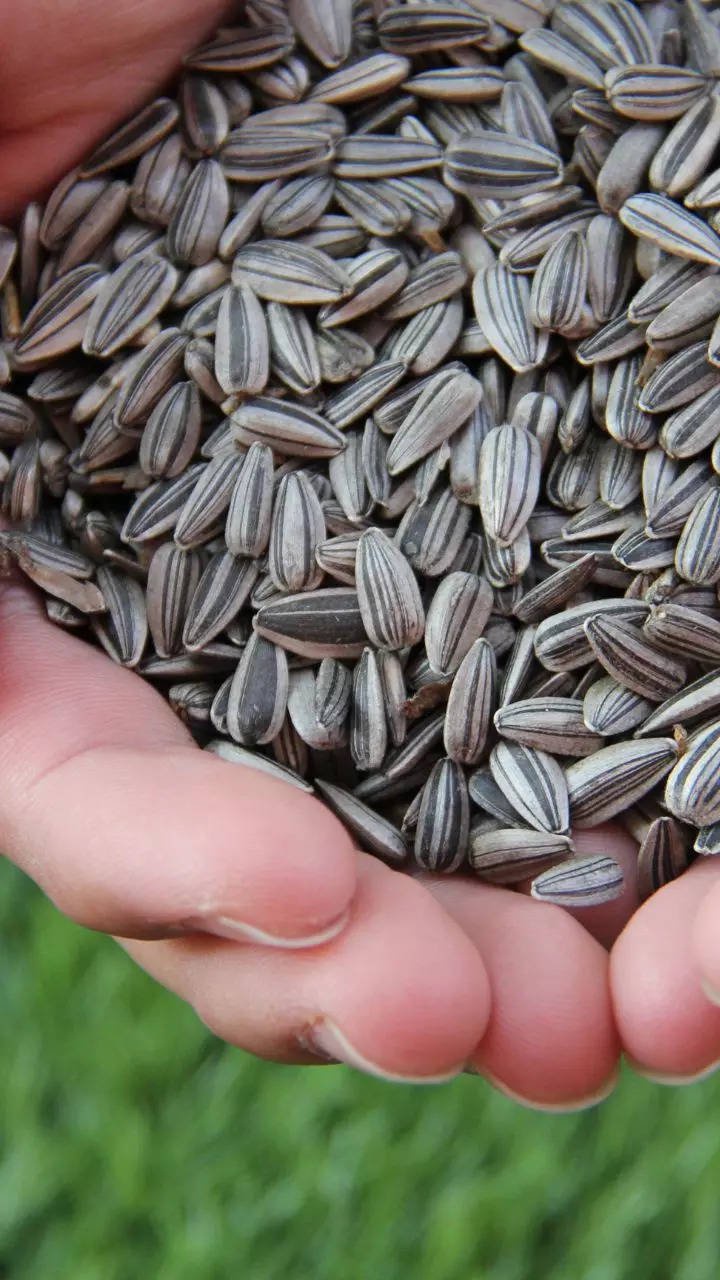 ​10 Healthy Seeds To Add To Your Meals