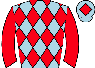 Horse silk