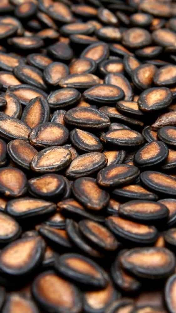 Rich in nutrients