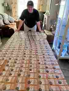 Mickey Richardson with the collection of 234 coins he discovered in a muddy field in Ansty, near Dorchester in Dorset