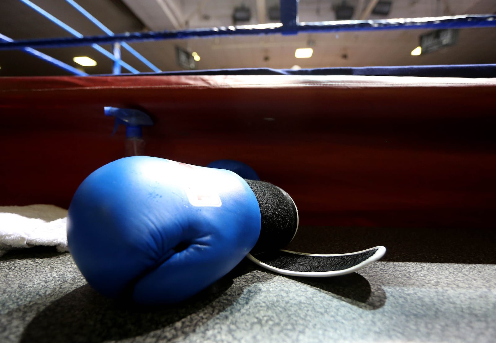 Reigning European champion John Donoghue joined his brother Jason in the semi-finals. Photograph: Ryan Byrne/Inpho