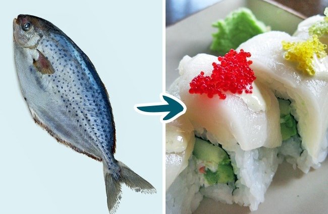 9 Kinds of Fish You Shouldn’t Eat To Stay Healthy