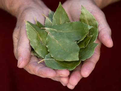 ​Improving digestion and relieving stomach problems