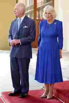 king charles, king charles lll, queen camilla, suede pumps, suede heels, taupe heels, taupe shoes, taupe suede pumps, royal style, queen camilla style