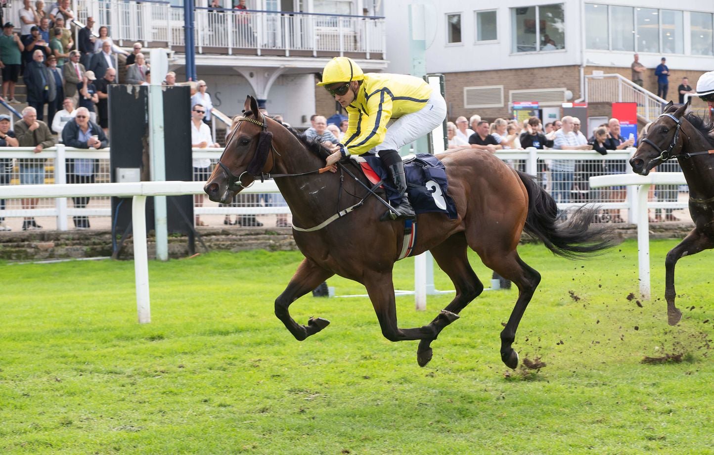 L’hippodrome d’Amiens conserve ses quatre réunions de galop et ses 24 rendez-vous annuels après la décision de France Galop. (Photo d'illustration)