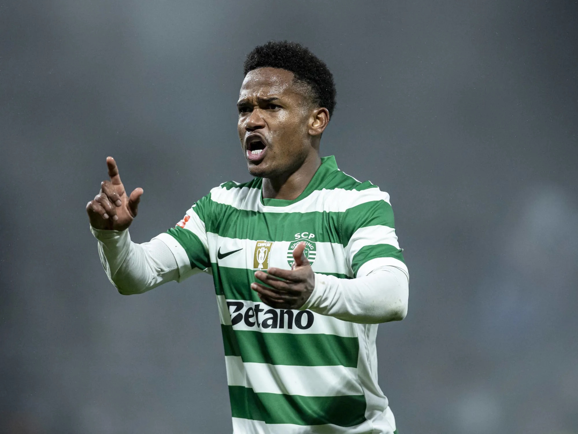 Second time lucky: Sunderland to make 'renewed push' for £50m winger