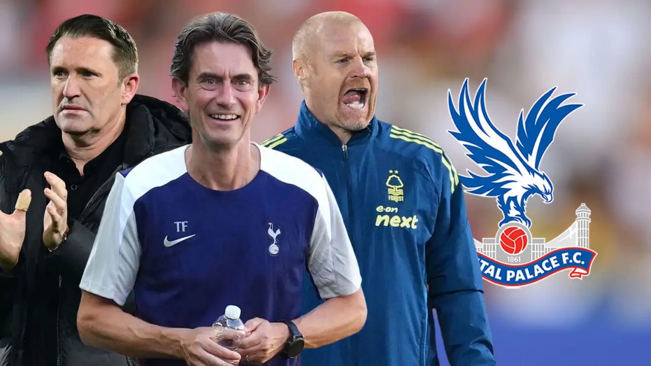 Next Crystal Palace manager candidates.
