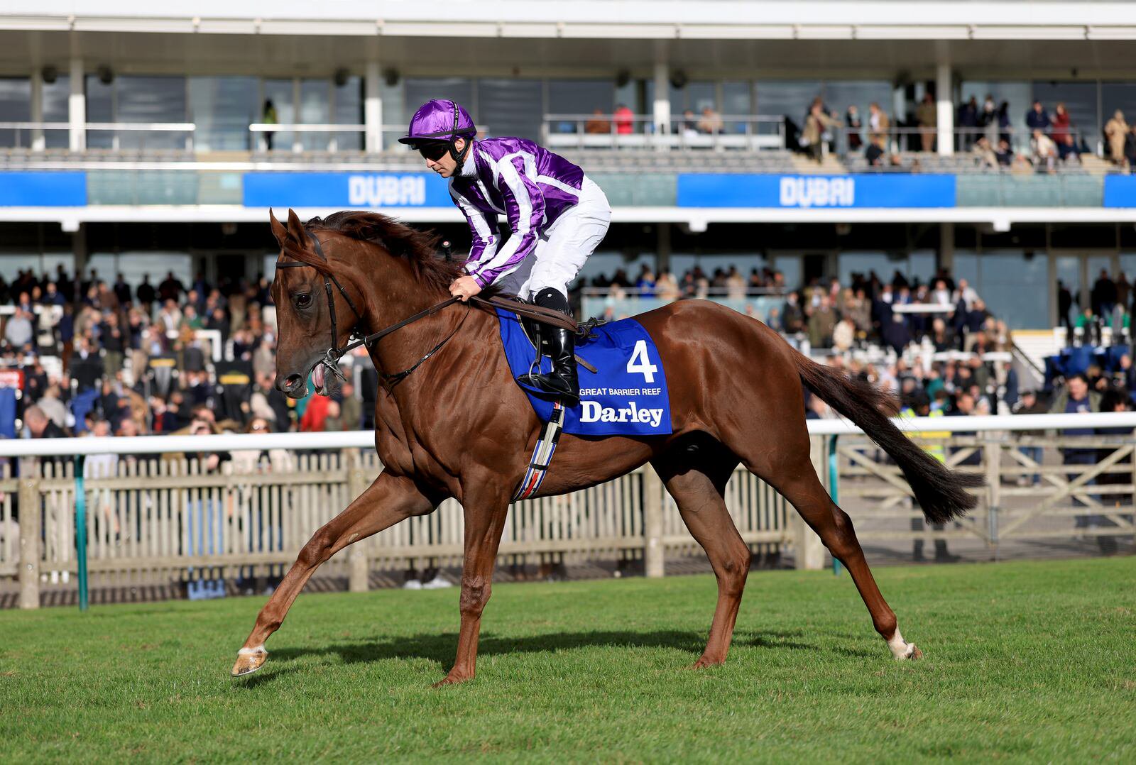 Great Barrier Reef was third in the recent Dewhurst Stakes at Newmarket and is now set to step up to a mile for the Juvenile Turf at the Breeders' Cup. Photograph: Nigel French/PA Wire