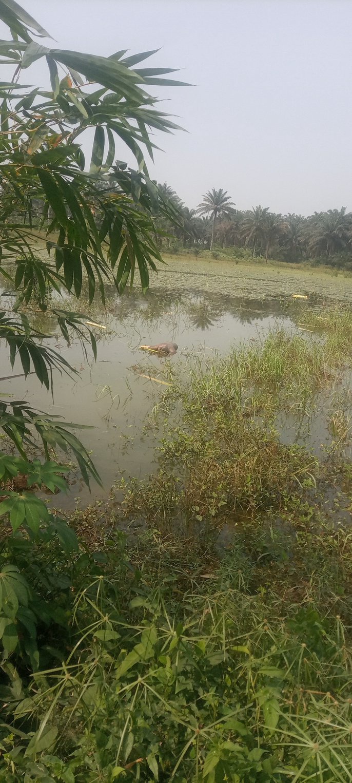 Update: Body of man surfaces three days after he 