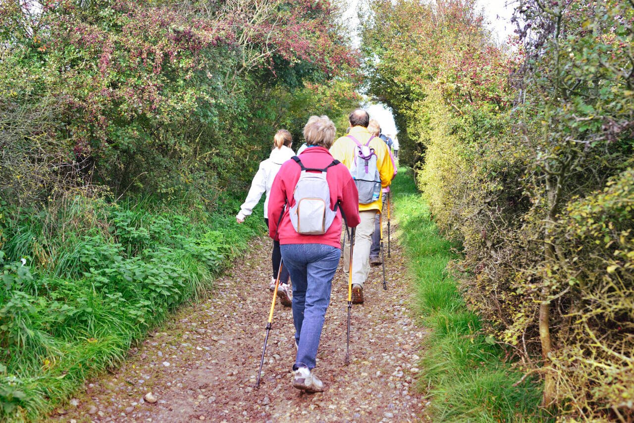 Montville. Escapades printanières Le Département de Seine-Maritime propose une rando nordique, dans la vallée du Cailly, jeudi 18 mai 2017 (Illustration ©Fotolia). - Fotolia_94642115_Subscription_XXL