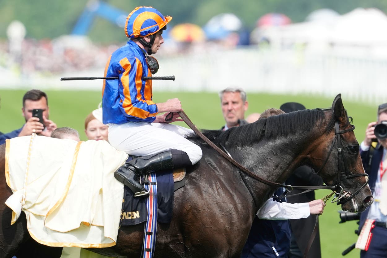 Scandinavia won't run in Champions Day