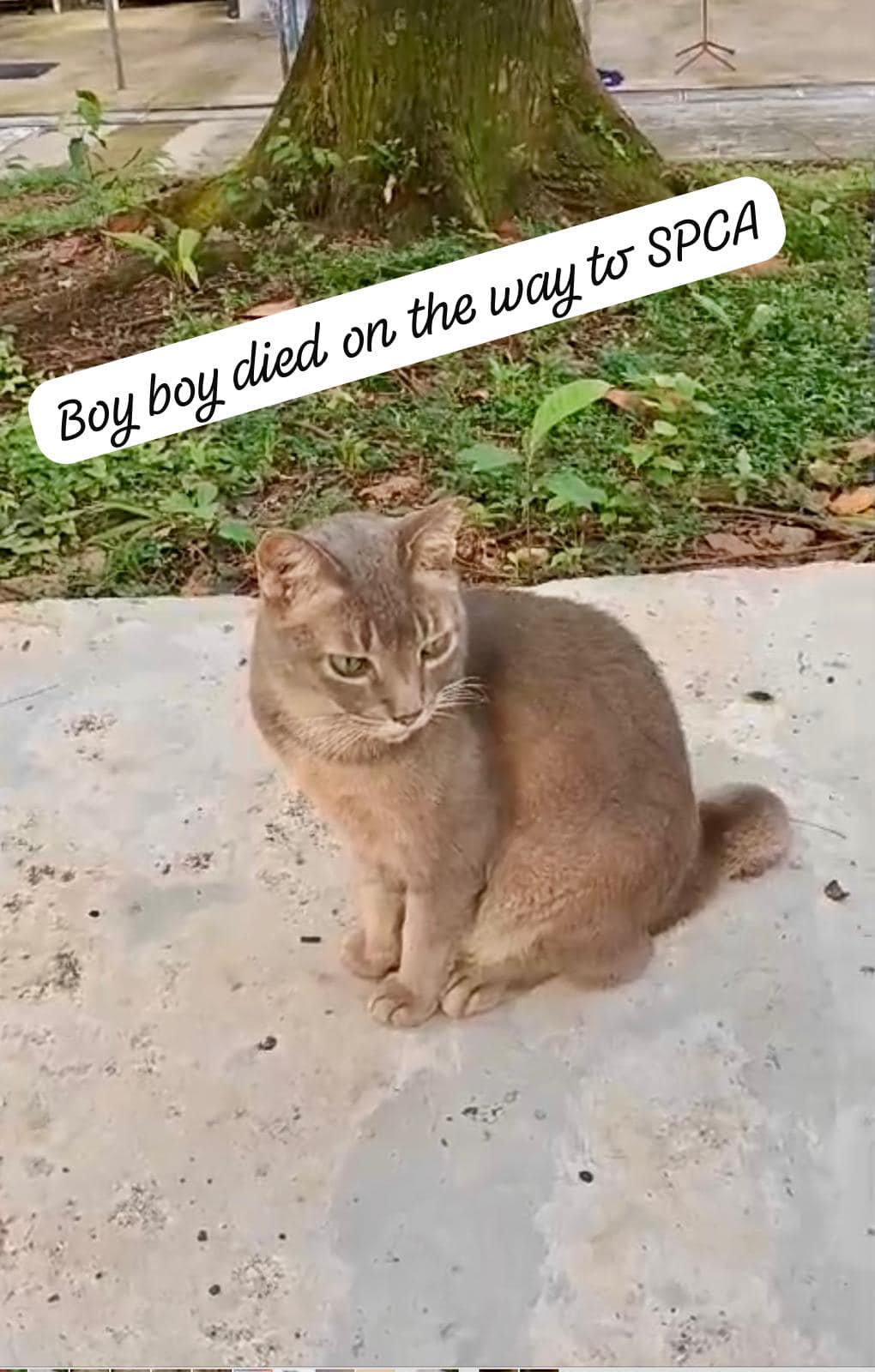 3636f30bd8d473ff0630eb41bb14f16c