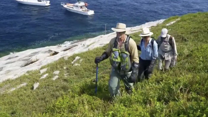 Pulau ular di Brasil