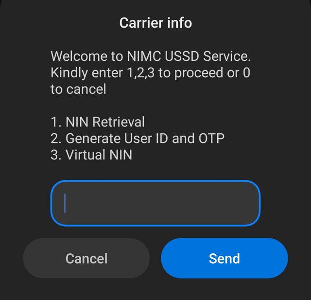 Select “NIN Retrieval, by typing in ‘1’ in the box provided [Pulse Nigeria]