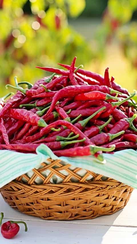 1. Filled With Antioxidants
