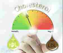 Healthy Ways to Increase Good Cholesterol and Reduce Bad Cholesterol