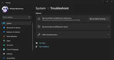 Windows 11 Troubleshooter options