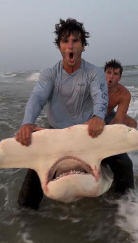 Gavin Garcia Shark