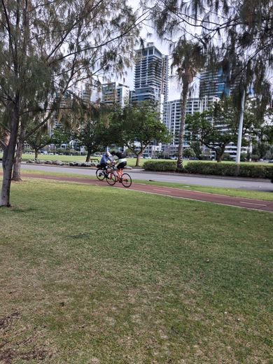 Impossible à Perth de circuler sur les pistes cyclables autrement qu’à vélo tellement ils sont nombreux à filer le long de la Swan River.